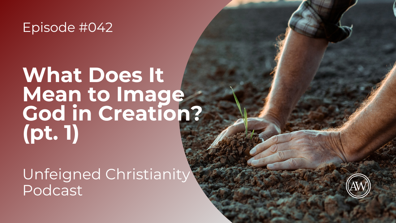 what-does-it-mean-to-image-god-in-creation-unfeigned-christianity